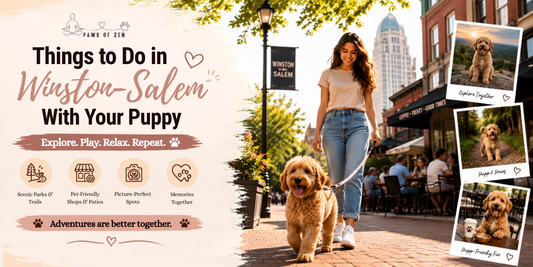 Things to Do in Winston-Salem With Your Puppy