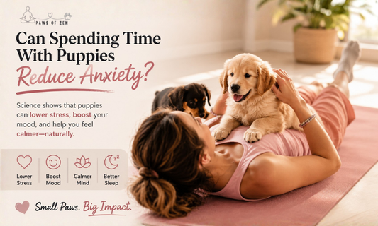 Can Spending Time With Puppies Reduce Anxiety