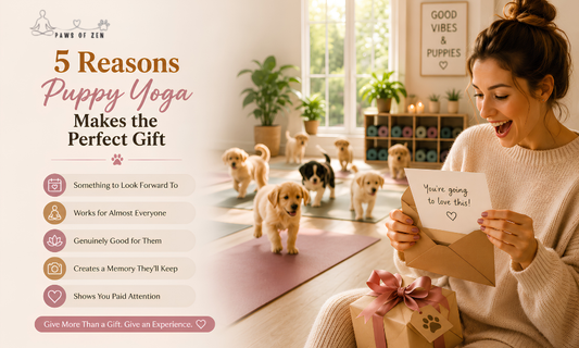 5 Reasons Puppy Yoga Makes the Perfect Gift