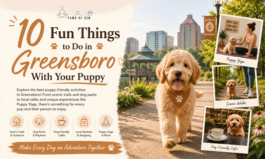 10 Fun Things to Do in Greensboro With Your Puppy