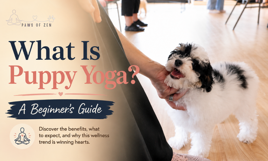 What Is Puppy Yoga? A Beginner's Guide to the Cutest Wellness Trend