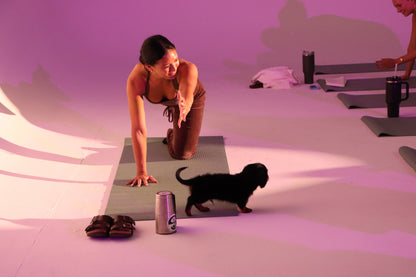 Puppy Pilates in Greensboro, NC
