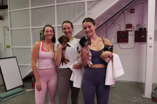 Puppy Yoga in Greensboro, NC
