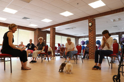 Puppy Pilates in Greensboro, NC